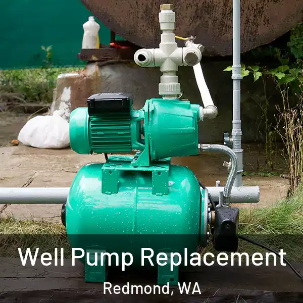  Well Pump Replacement Redmond, WA